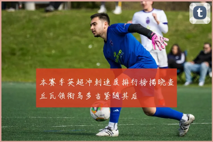 本赛季英超冲刺速度排行榜揭晓查丘瓦领衔乌多吉紧随其后
