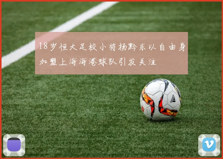 18岁恒大足校小将杨黔东以自由身加盟上海海港球队引发关注