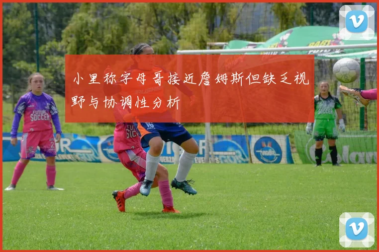 小里称字母哥接近詹姆斯但缺乏视野与协调性分析
