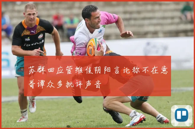 苏群回应管维佳阴阳言论称不在意哥谭众多批评声音