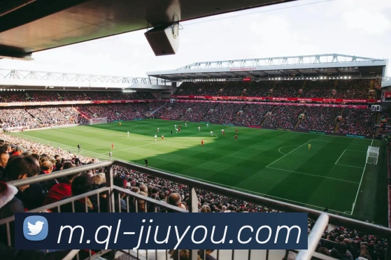 九游体育发展历程